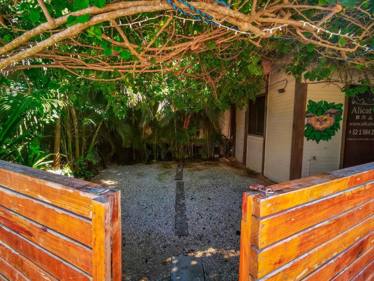 Alicat Villas Tulum Esterno foto